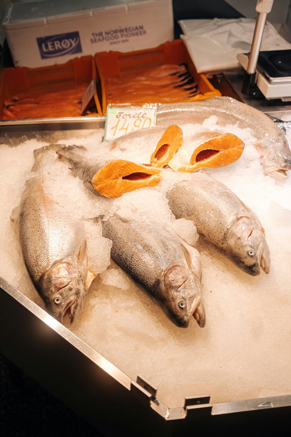 Salmon · Head On Gutted