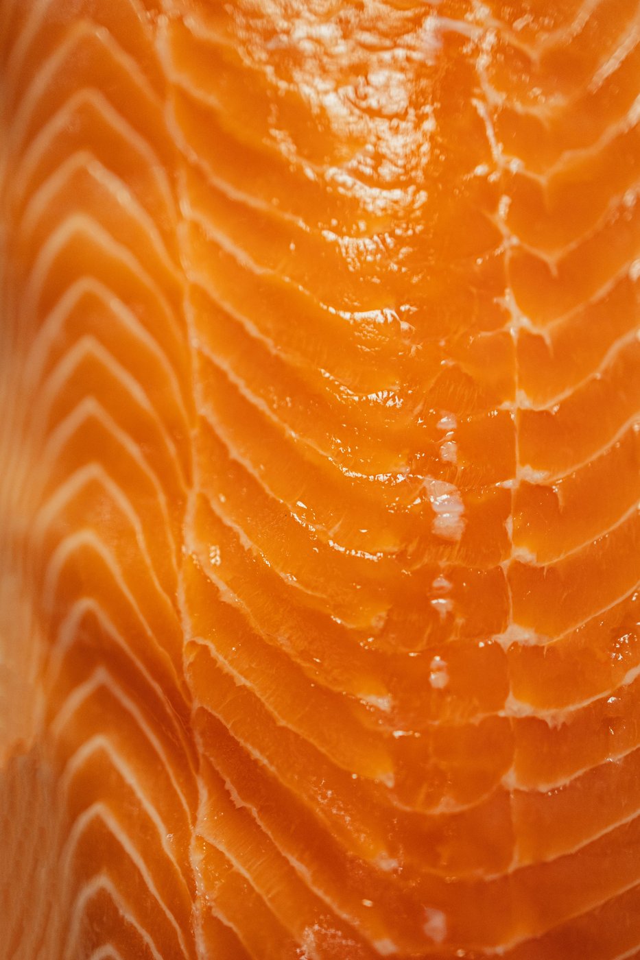Trout A-Trim Fillet, frozen